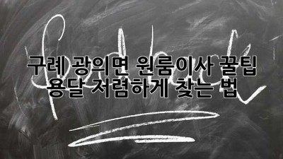 구례 광의면 원룸이사 꿀팁🍯 용달 저렴하게 찾는 법!
