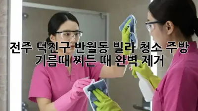 전주 덕진구 반월동 빌라 청소: 주방 기름때, 찌든 때 완벽 제거!